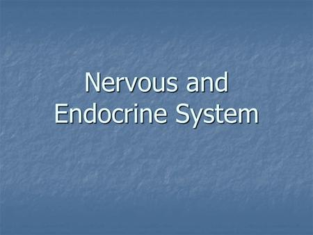 Nervous and Endocrine System Vocabulary Gland – an organ that produces and secretes (releases) hormones Gland – an organ that produces and secretes (releases)