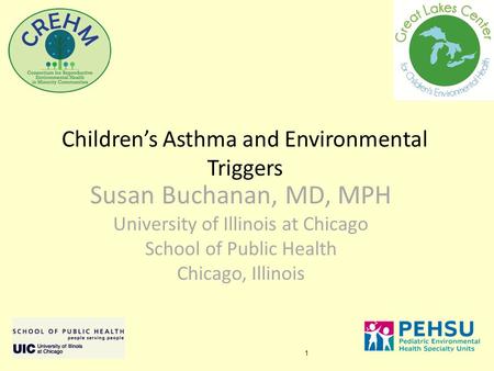 1 Children’s Asthma and Environmental Triggers Susan Buchanan, MD, MPH University of Illinois at Chicago School of Public Health Chicago, Illinois.