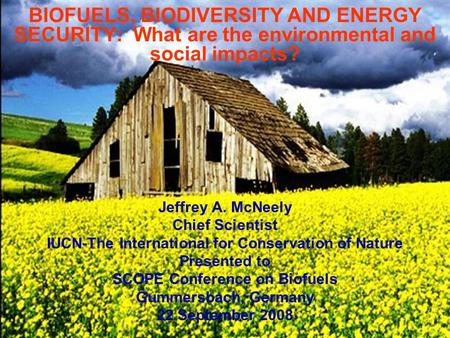 BIOFUELS, BIODIVERSITY AND ENERGY SECURITY: What are the environmental and social impacts? Jeffrey A. McNeely Chief Scientist IUCN-The International for.