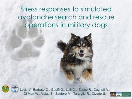 Stress responses to simulated avalanche search and rescue operations in military dogs Levis V., Barbato O., Guelfi G., Lolli C., Zasso R., Cagnati A.,