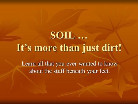 SOIL … It’s more than just dirt!