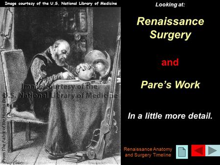 Looking at: Renaissance Surgery and Pare’s Work In a little more detail. From The Fabric of the Human Body Renaissance Anatomy and Surgery Timeline Image.