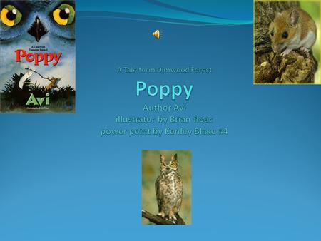 A Tale form Dimwood Forest Poppy Author Avi illustrator by Brian floac power point by Kenley Blake #4.