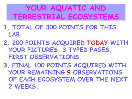 YOUR AQUATIC AND TERRESTRIAL ECOSYSTEMS 1. TOTAL OF 300 POINTS FOR THIS LAB 2. 200 POINTS ACQUIRED TODAY WITH YOUR PICTURES, 3 TYPED PAGES, FIRST OBSERVATIONS.