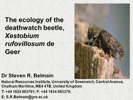 The ecology of the deathwatch beetle, Xestobium rufovillosum de Geer Dr Steven R. Belmain Natural Resources Institute, University of Greenwich, Central.