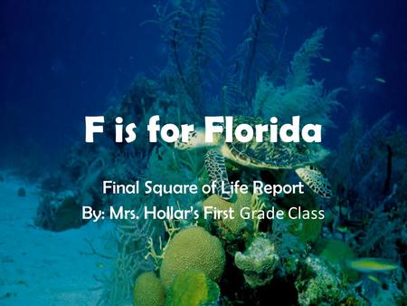 F is for Florida Final Square of Life Report By: Mrs. Hollar’s First Grade Class.
