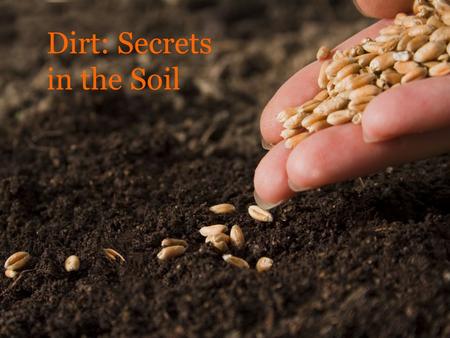 Dirt: Secrets in the Soil. How Much is Dirt Worth?