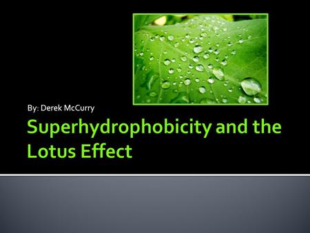 By: Derek McCurry.  The Lotus effect refers to the very high water repellency exhibited by the leaves of the lotus plant  Allows for self-cleaning,