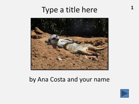 1 Type a title here by Ana Costa and your name. 2 What Meerkats Look Like………………………….………pg. 3 How Meerkats Live in the Desert……...………………pg. 7 ………….….……………..………..………………pg.