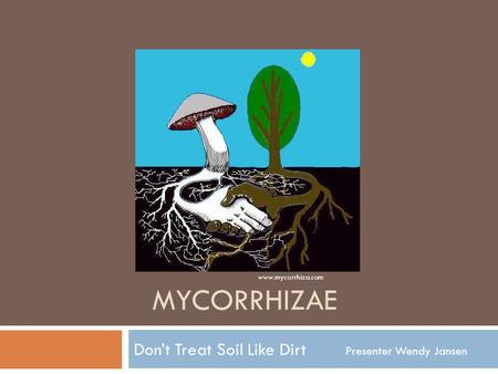 MYCORRHIZAE Don’t Treat Soil Like Dirt Presenter Wendy Jansen www.mycorrhiza.com.