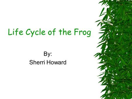 Life Cycle of the Frog By: Sherri Howard.
