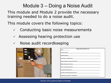 VPP: The Standard of Excellence in Workplace Safety and Health Module 3 – Doing a Noise Audit This module and Module 2 provide the necessary training needed.