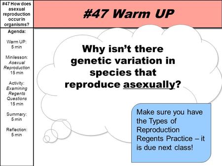 #47 How does asexual reproduction occur in organisms? Agenda: Warm UP: 5 min Minilesson: Asexual Reproduction 15 min Activity: Examining Regents Questions.