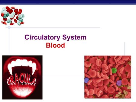 Regents Biology 2006-2007 Circulatory System Blood.