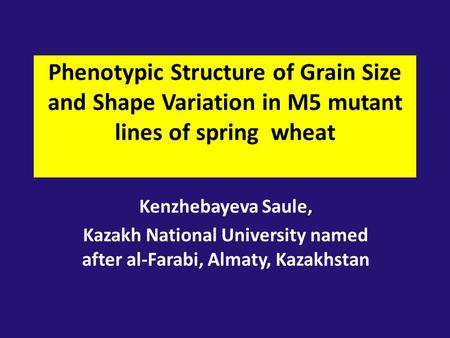 Phenotypic Structure of Grain Size and Shape Variation in M5 mutant lines of spring wheat Kenzhebayeva Saule, Kazakh National University named after al-Farabi,