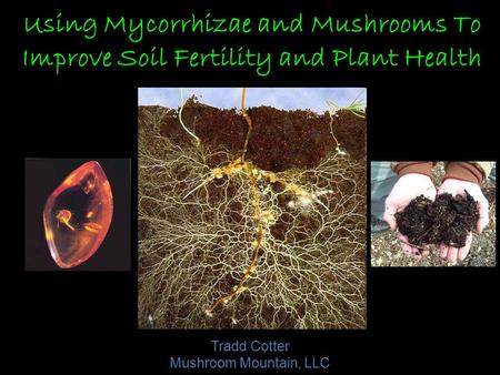 Using Mycorrhizae and Mushrooms To Improve Soil Fertility and Plant Health Tradd Cotter Mushroom Mountain, LLC.
