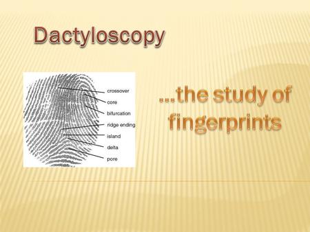 Fingerprints are useful because… they’re unique they’re consistent over a person’s lifetime we have a systematic classification scheme Why do we even.