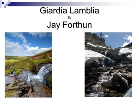 Giardia Lamblia By Jay Forthun. Problem Purpose To ensure water treatment is made possible in all livable areas in the world.