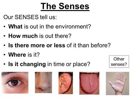 The Senses Our SENSES tell us: What is out in the environment? How much is out there? Is there more or less of it than before? Where is it? Is it changing.