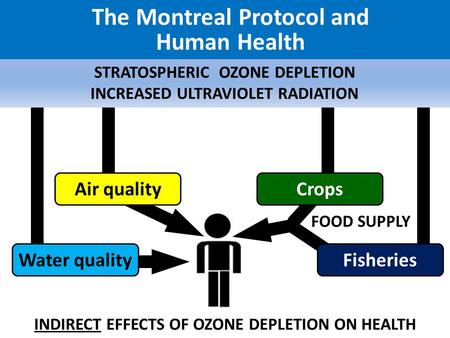 The Montreal Protocol and Human Health