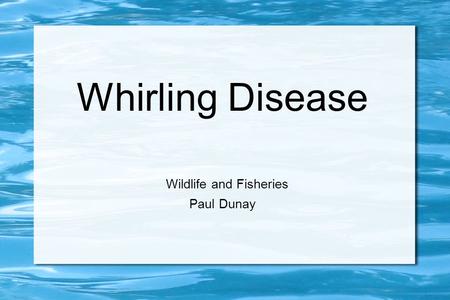Whirling Disease Wildlife and Fisheries Paul Dunay.