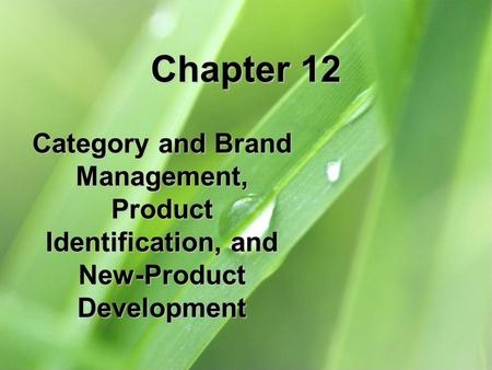 Chapter 12 Category and Brand Management, Product Identification, and New-Product Development.