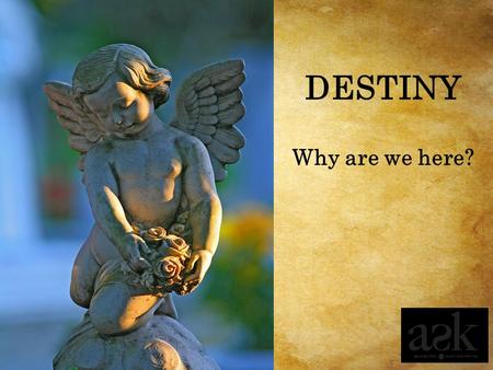 DESTINY Why are we here?.
