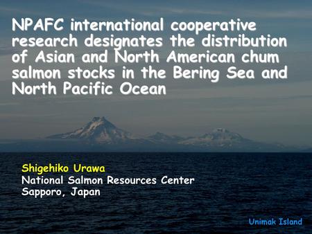 NPAFC international cooperative research designates the distribution of Asian and North American chum salmon stocks in the Bering Sea and North Pacific.