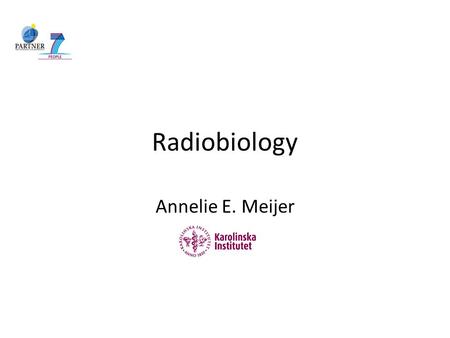 Radiobiology Annelie E. Meijer.
