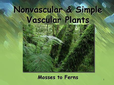 Nonvascular & Simple Vascular Plants
