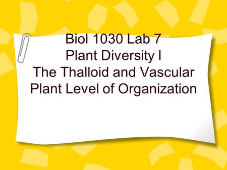 Biol 1030 Lab 7 Plant Diversity I The Thalloid and Vascular Plant Level of Organization.
