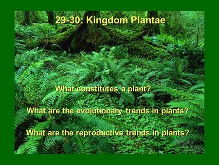 29-30: Kingdom Plantae What constitutes a plant?