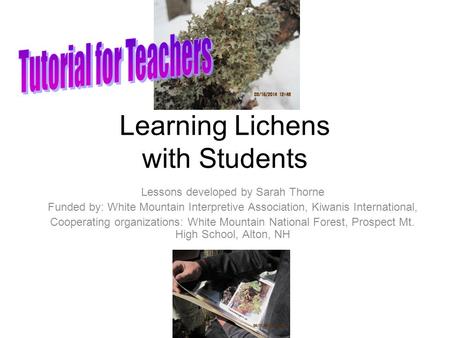 Learning Lichens with Students Lessons developed by Sarah Thorne Funded by: White Mountain Interpretive Association, Kiwanis International, Cooperating.