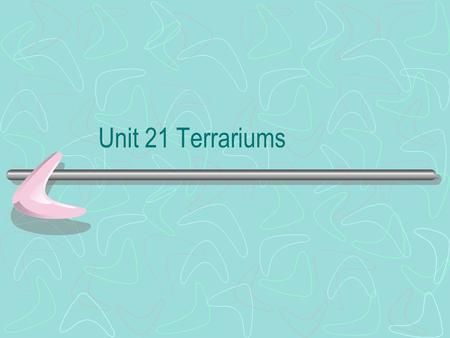 Unit 21 Terrariums.
