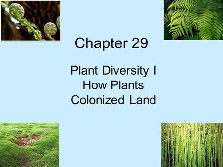 Plant Diversity I How Plants Colonized Land
