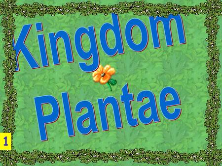 Kingdom Plantae 1.