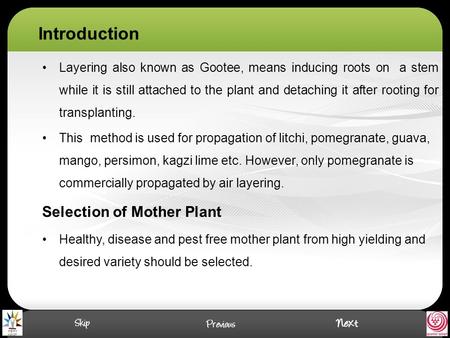 Introduction Selection of Mother Plant