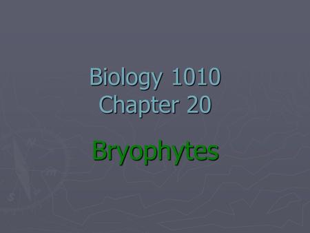 Biology 1010 Chapter 20 Bryophytes.