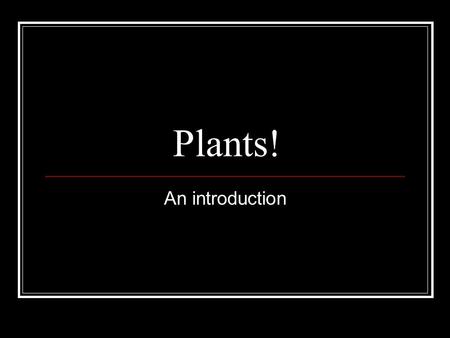Plants! An introduction.