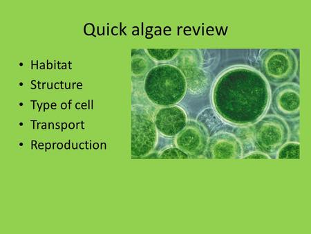Quick algae review Habitat Structure Type of cell Transport