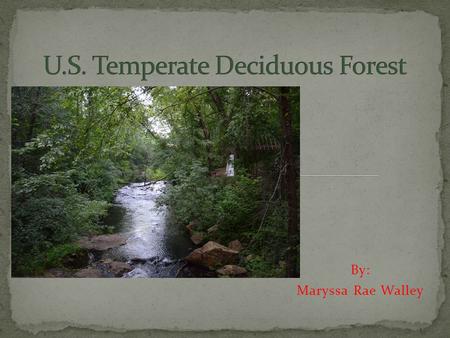 U.S. Temperate Deciduous Forest