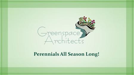 Perennials All Season Long!. Maintenance  Bulb planting for next season  Dividing overgrowth  Mulch for winter protection  Redesigning beds.