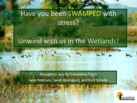 Have you been SWAMPED with stress? Unwind with us in the Wetlands!