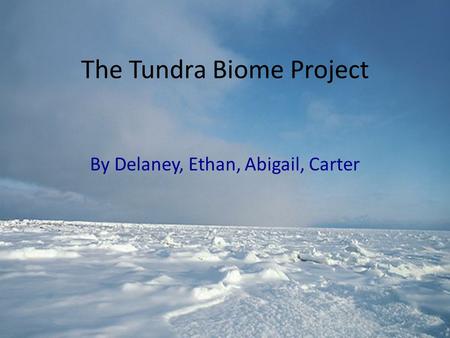 The Tundra Biome Project