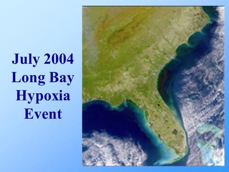 July 2004 Long Bay Hypoxia Event. Flounder Catches Water Quality SCDNR CCU Temperature/Wind/Current Potential Hypotheses Other Areas Experiencing Hypoxia.