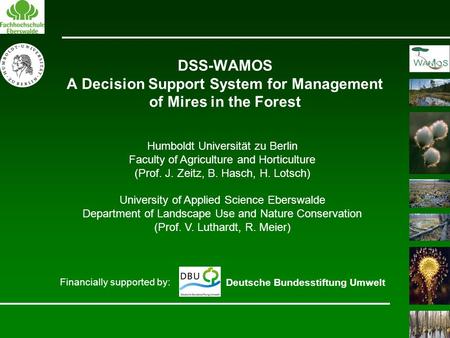 DSS-WAMOS A Decision Support System for Management of Mires in the Forest Financially supported by: Deutsche Bundesstiftung Umwelt Humboldt Universität.