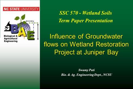 Influence of Groundwater flows on Wetland Restoration Project at Juniper Bay Swamy Pati Bio. & Ag. Engineering Dept., NCSU SSC 570 - Wetland Soils Term.