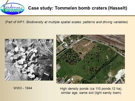 Case study: Tommelen bomb craters (Hasselt) WWII - 1944 High density ponds (ca 110 ponds;12 ha), similar age, same soil (light sandy loam) (Part of WP1: