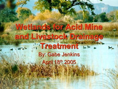 Wetlands for Acid Mine and Livestock Drainage Treatment By: Gabe Jenkins April 18 th 2005.