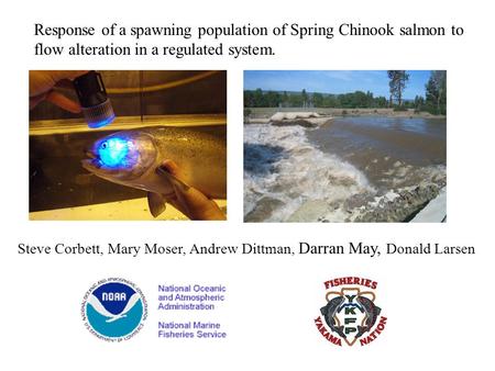 Response of a spawning population of Spring Chinook salmon to flow alteration in a regulated system. Steve Corbett, Mary Moser, Andrew Dittman, Darran.